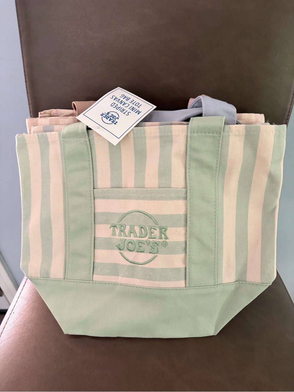 Trader Joe's Mint Stripe Canvas Tote